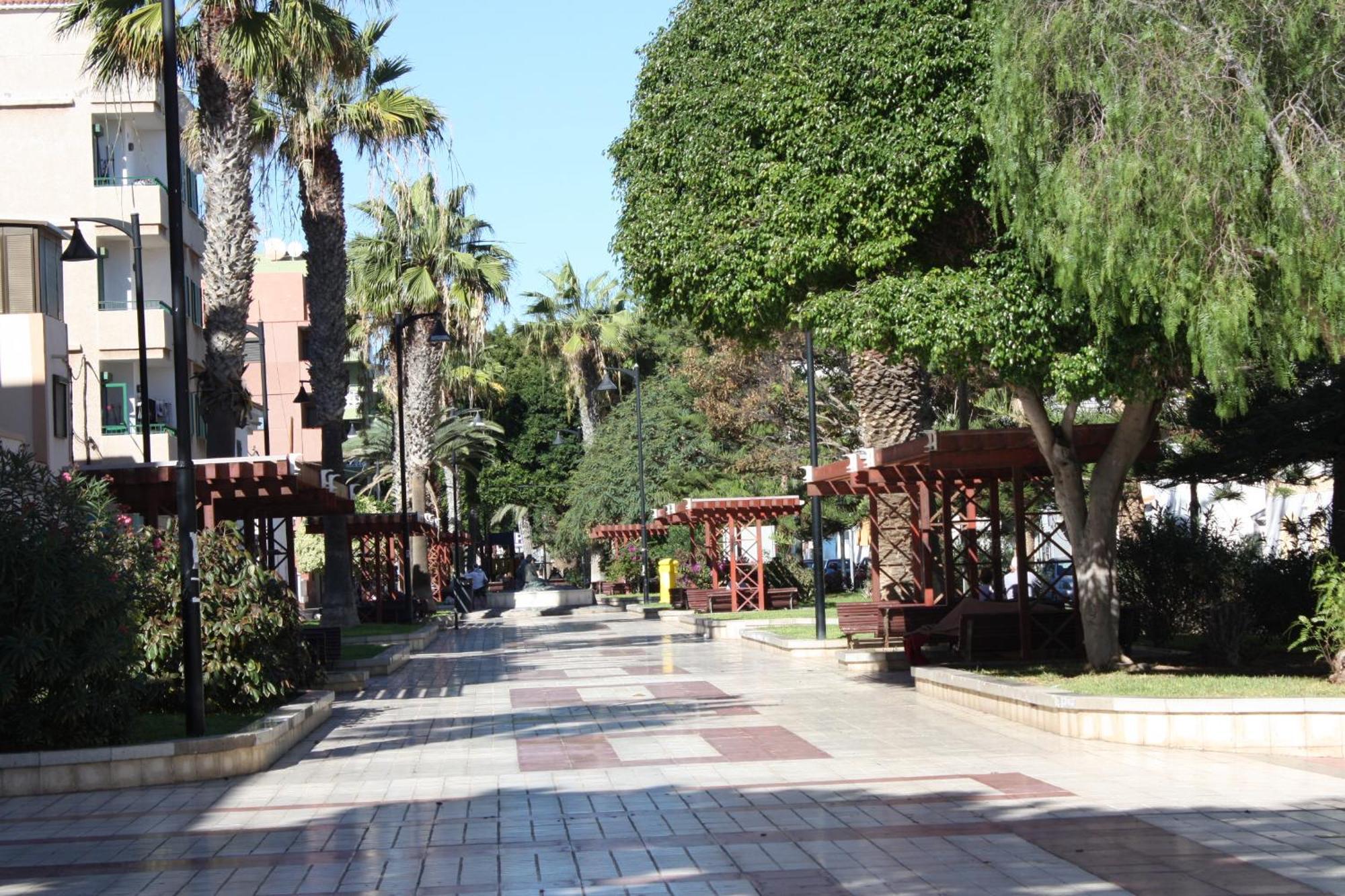 Primavera Tenerife Sur Apartment Arona  Luaran gambar