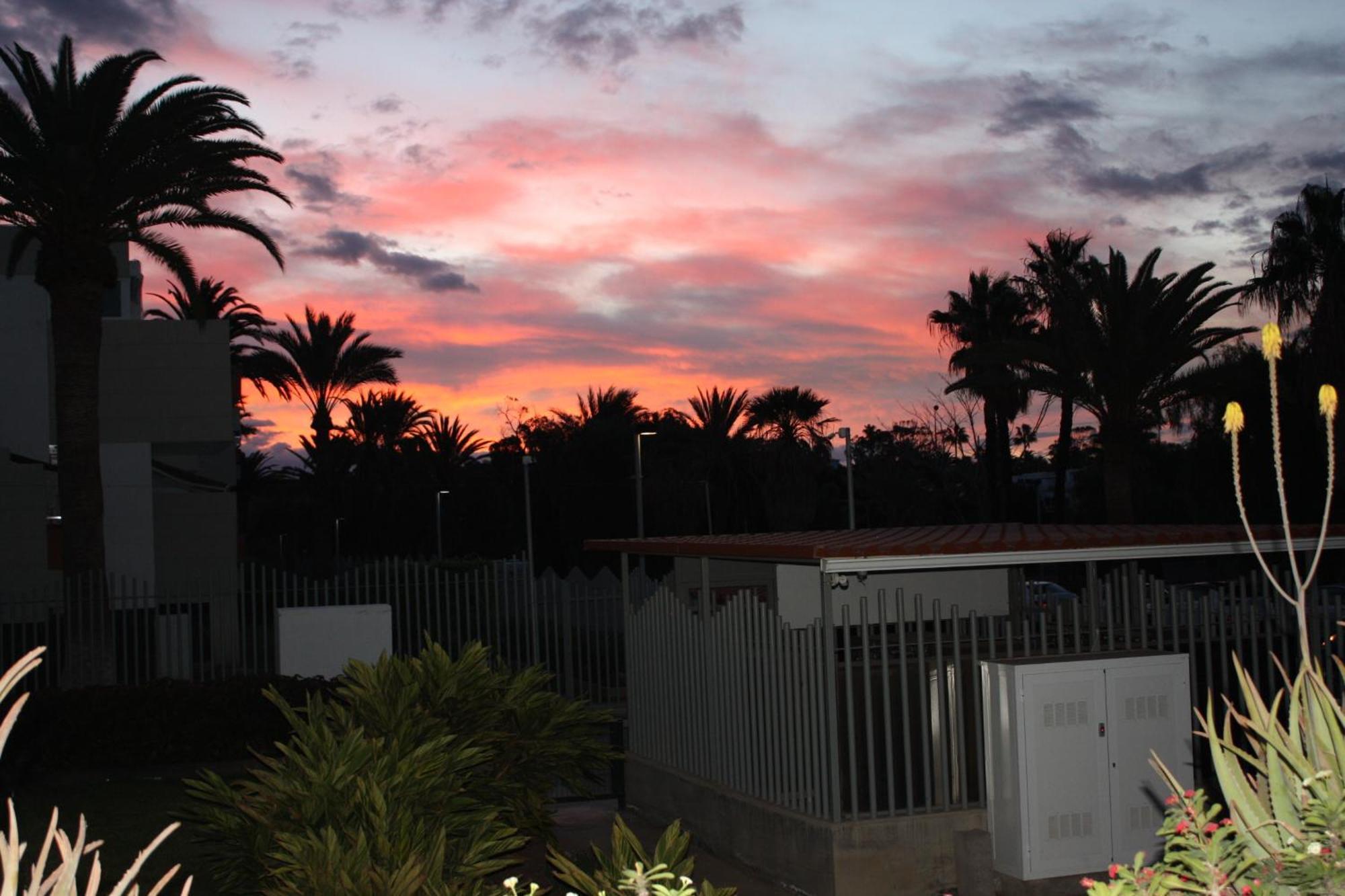 Primavera Tenerife Sur Apartment Arona  Luaran gambar